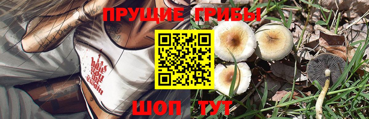 Галлюциногенные грибы мухоморы  Вход с VPN  Котельники 