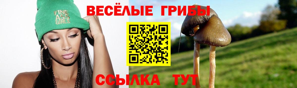 Галлюциногенные грибы GOLDEN TEACHER Котельники